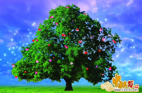 �����ף����